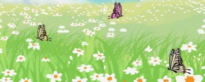 ​蝴蝶是益虫还是害虫