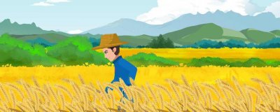 ​小麦的营养价值及营养成分