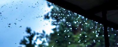 ​十一月四日风雨大作