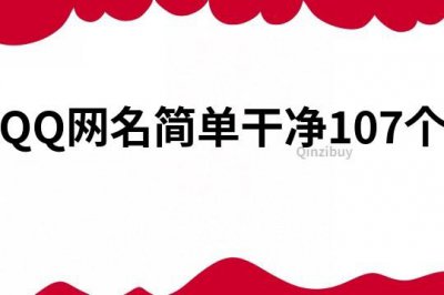 ​QQ网名简单干净107个