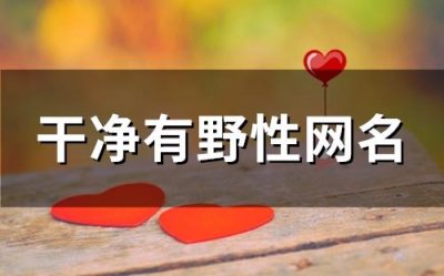 ​干净有野性网名(精选108个)