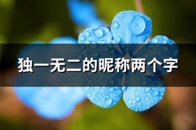 ​独一无二的昵称两个字(优选692个)