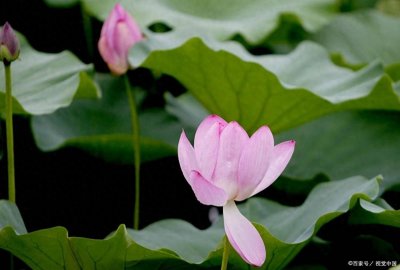 ​人的一生，图什么呢？（看完很顿悟）