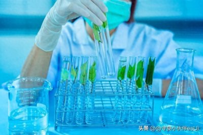 ​以色列的农业发展有哪些特点:高度集约化:技术创新: 注重品质