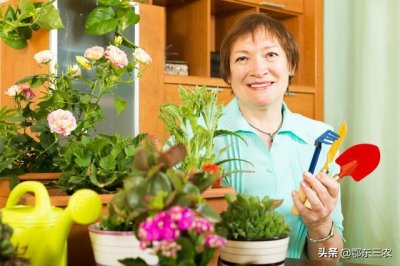 ​家里养花时，使用1克磷酸二氢钾究竟需要兑多少水？