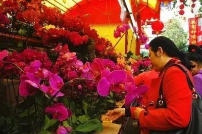 ​深圳迎春花市今年回归，打造年味十足花市嘉年华，时间地点在这里！