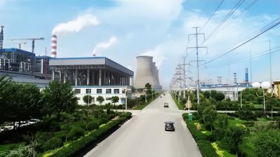 ​山东新首富诞生：挤下魏桥创业郑淑良家族，41岁身家达到950亿元
