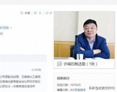 ​新闻背后：许峰被双开移送司法机关，这个国企老总悲凉的人生末路