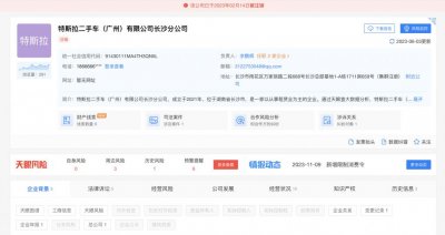 ​涉侵权特斯拉案件，“李鬼”特斯拉二手车公司被限消