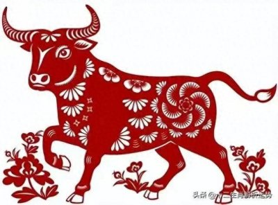 ​明年春节狂欢！哪些生肖穿上红色，好运连连？