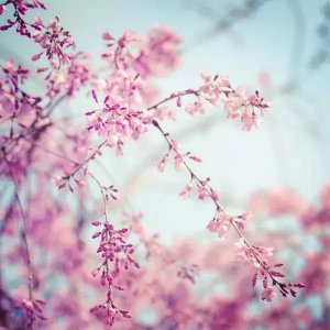 ​2019年十月最新个性签名