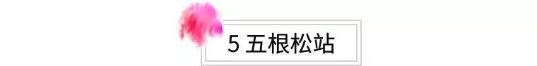 成都地铁一号线南延线三期（成都地铁1号线三期新站曝光）(38)