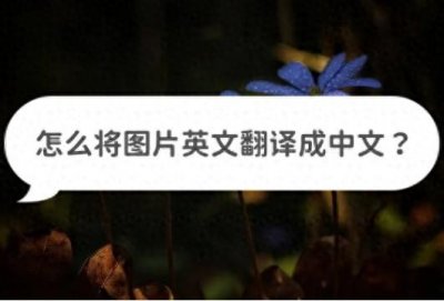 怎么将图片英文翻译成中文?教你翻译操作步骤