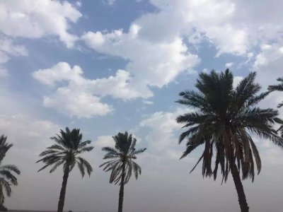 在伊拉克工作的中国职工年薪20万,为何他们却感觉如同坐牢