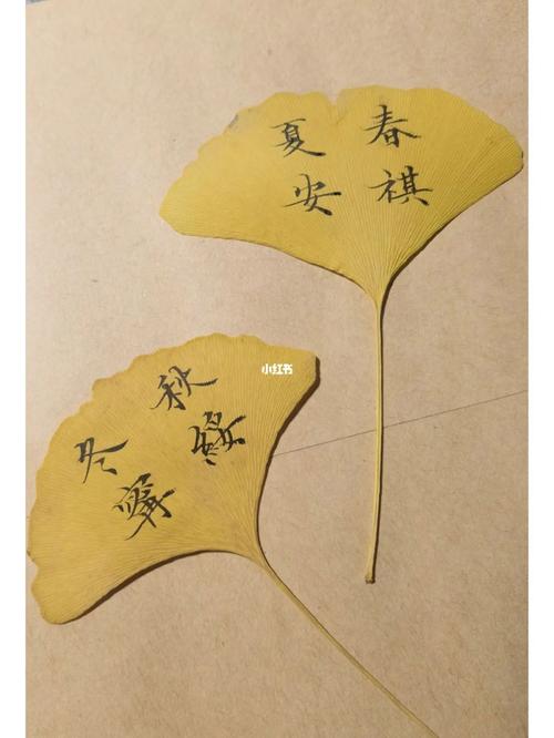 春祺夏安秋绥冬宁的意思