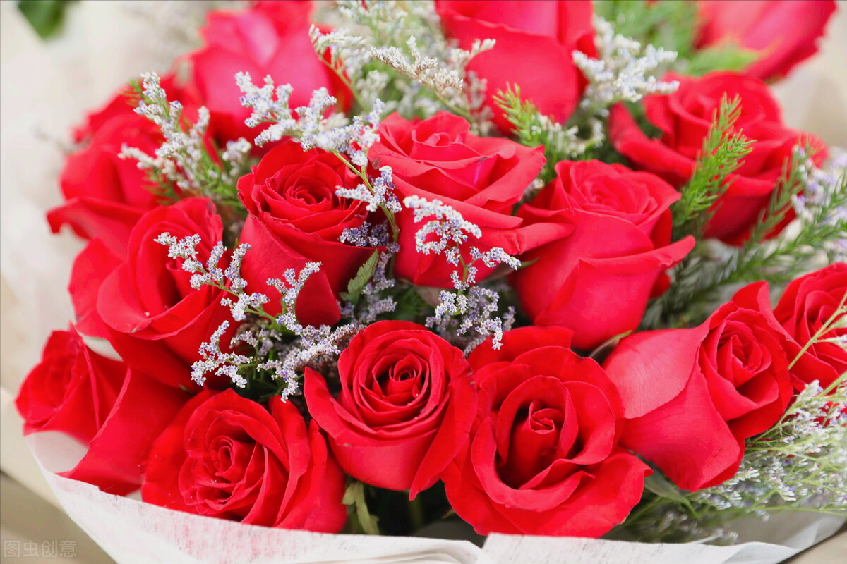 99朵玫瑰花寓意是什么(九十九朵玫瑰代表什么意思)(图2) 99朵玫瑰花寓意是什么(九十九朵玫瑰代表什么意思)(图2)