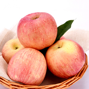 中国十大优质苹果产地(陕西十大苹果产地)插图1 中国十大优质苹果产地(陕西十大苹果产地)插图1