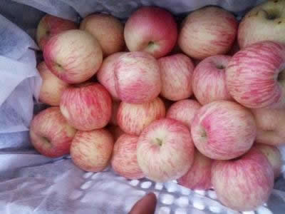 中国十大优质苹果产地(陕西十大苹果产地)插图2 中国十大优质苹果产地(陕西十大苹果产地)插图2