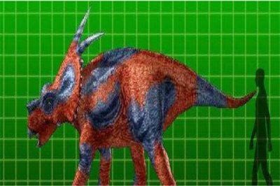 ​河伯龙：距今仅有几万万履历（生计在美洲地域）