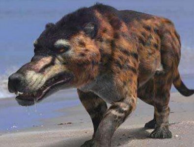 ​神龙架驴头狼，驴头狼身的诡异存在_实则史前动物沙犷