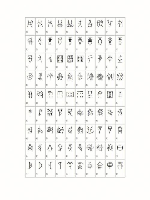 古文字有哪些(古文字简单介绍)