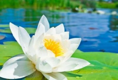 ​广东高校名单广东高校最新排行榜