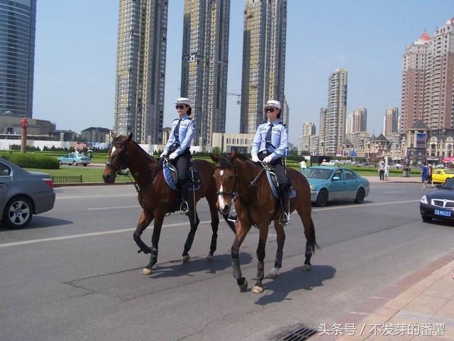 雪乡坑人宰客，为什么让东北人集体背锅