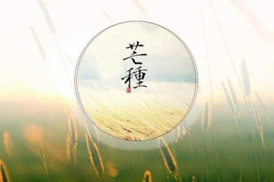​芒种是什么意思?应该注意什么问题?
