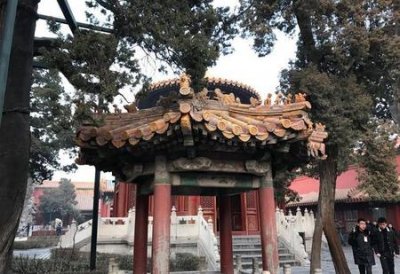 ​故宫的御花园为什么那么小(故宫御花园)