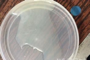 碱性乳状体是什么