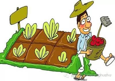 农村怎么操作农产品加工(家庭农场如何进行农产品加工)(1)