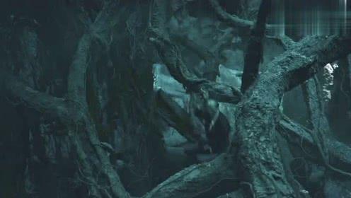 蛇眉铜鱼真存在吗（秦岭神树第三只蛇眉铜鱼终于面世）(4)