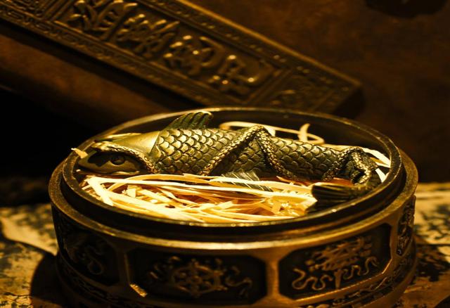 蛇眉铜鱼真存在吗（秦岭神树第三只蛇眉铜鱼终于面世）(3)