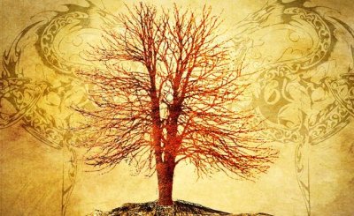 ​蛇眉铜鱼真存在吗（秦岭神树第三只蛇眉铜鱼终于面世）