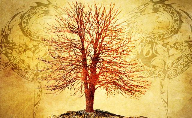 蛇眉铜鱼真存在吗（秦岭神树第三只蛇眉铜鱼终于面世）(1)