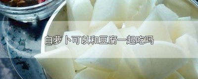 ​白萝卜可以和豆腐一起吃吗