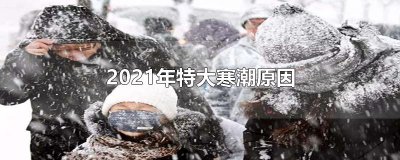 ​2025年特大寒潮原因