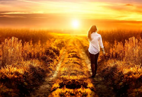 1685507291109950.png image.png