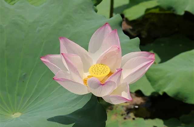 qq特殊符号昵称(82个) qq特殊符号昵称(82个)