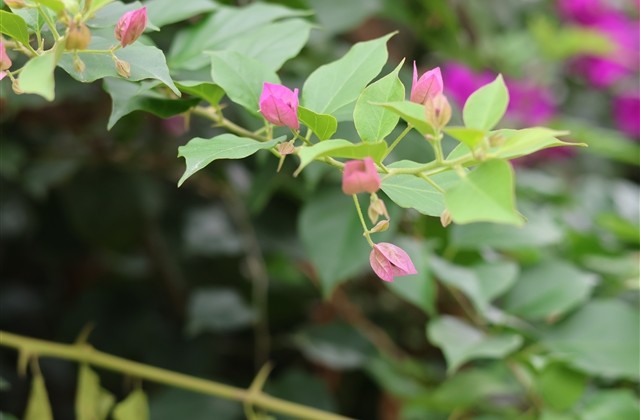 qq特殊符号昵称(82个) qq特殊符号昵称(82个)