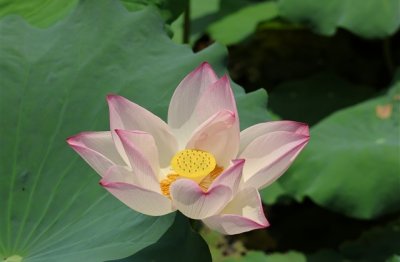 ​qq特殊符号昵称(82个)