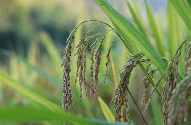 带辉的个性名字大全(精选120个) 带辉的个性名字大全(精选120个)