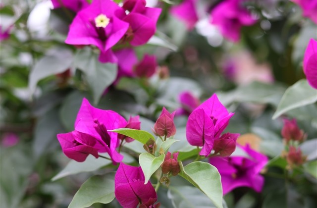 带辉的个性名字大全(精选120个) 带辉的个性名字大全(精选120个)