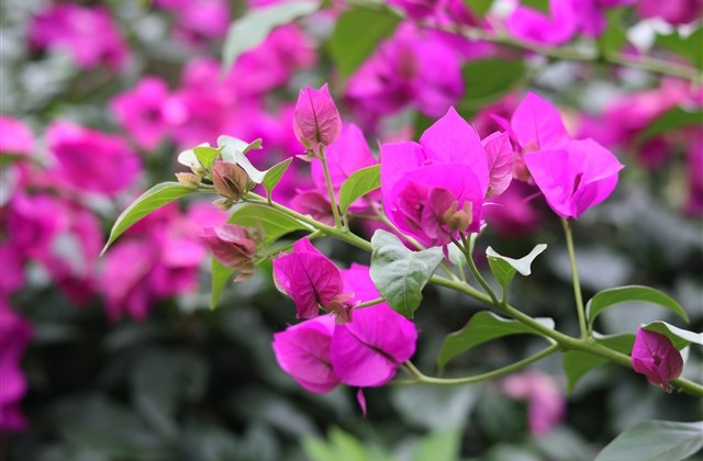 女生非主流霸气网名大全(优选119个) 女生非主流霸气网名大全(优选119个)