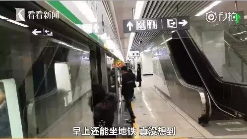 萨摩耶独自乘地铁出走,竟是二哈惹的祸!