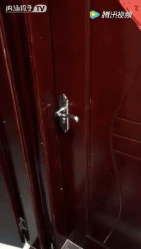 萨摩耶独自乘地铁出走,竟是二哈惹的祸!