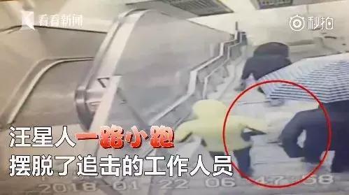 萨摩耶独自乘地铁出走,竟是二哈惹的祸!