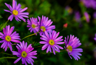 ​好听有个性的超拽扣扣网名(共103个)