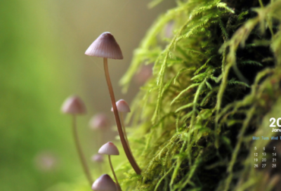 ​非主流好听原创QQ网名(80个)