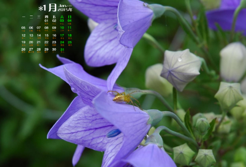 1692921996431178.png image.png